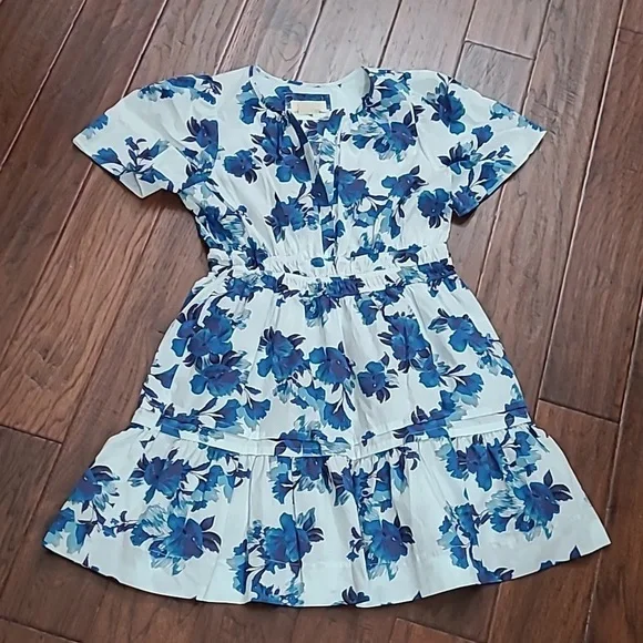 Anthropologie White and Blue Floral Mini Dress - Picture 3 of 10